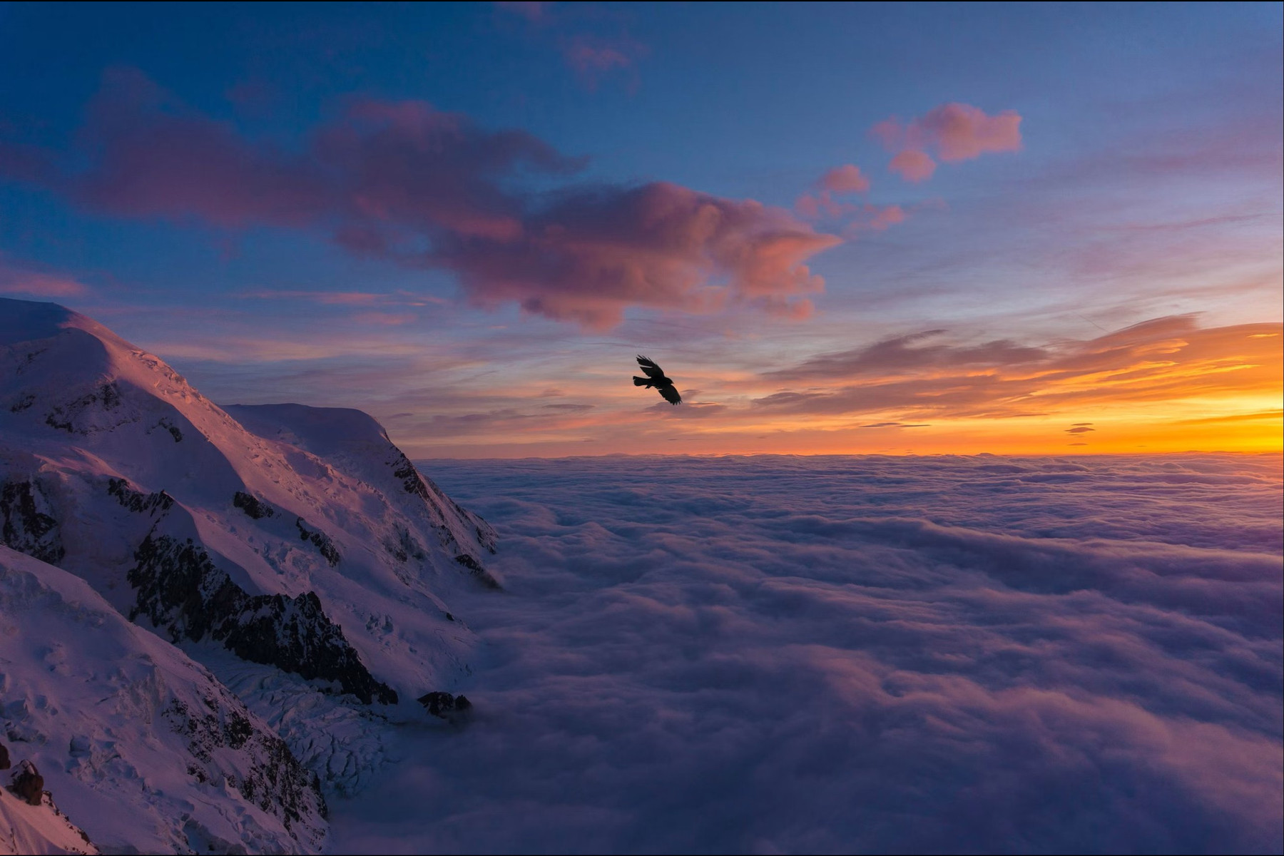 A bird flying over a sea of clouds beside a snowy mountain at sunset